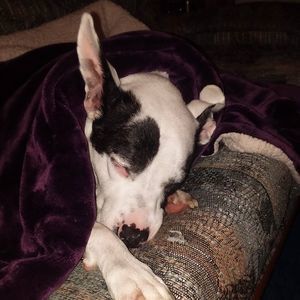 Meet your Posher, Paula